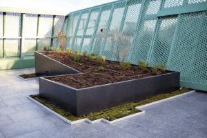 Irish life Tapered Planter