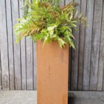 The Stables Planter with Fern